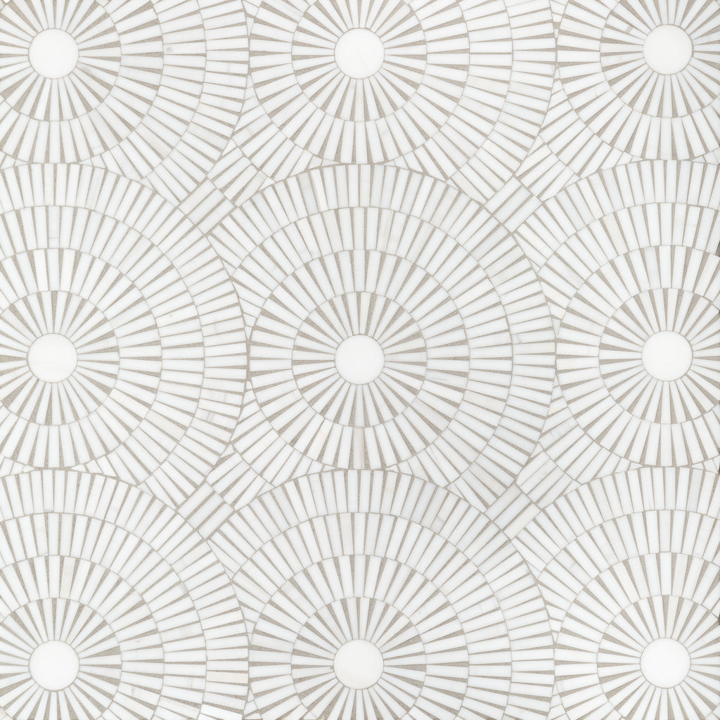 plp_Motor_City_Circles_ZCBSMCC