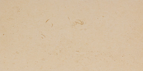 Flooring That Goes With Beige Walls