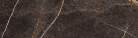 Fall 2024 Introductions