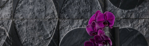 Eclipse, Crescent & Fade