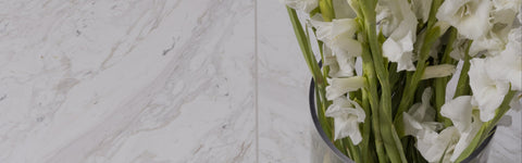 Arabescato D'oro Marble