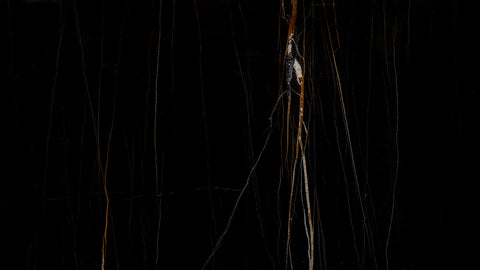 Black Marble Kitchen Floor Tiles