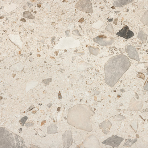 Floor Porcelain Tile That Goes With Netsuke Color