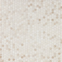 Penny Lane White Sand honed stone penny round mosaic