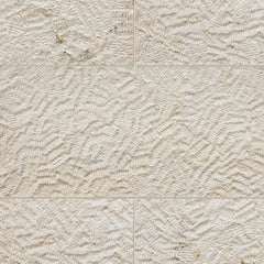 Old City Jerusalem Pearl Limestone Tile  Textured Stone