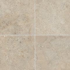 Terme Modenese Tile  Matte Porcelain