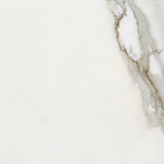 Calacatta Gold B polished marble field tile