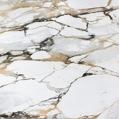 Calacatta Macchia Vecchia Limited Edition polished marble slab