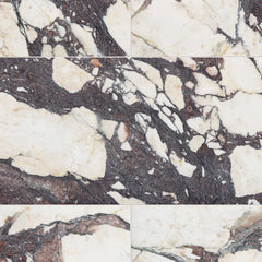 Calacatta Viola honed marble tile