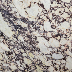 Calacatta Viola Marble Slab  Stone