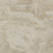 Preview Graphic for Naica Quartzite Slab