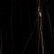 Preview Graphic for Nero Dorato Marble Slab
