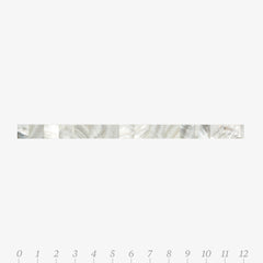 Rivershell White Molding  Shell