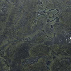 2cm Vitorria Regia Quartzite Swatch Card  Honed Samples Slab