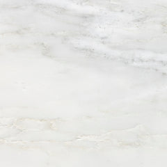 Pacific White Marble Swatch Card  12 x 24 x 3/8" Samples