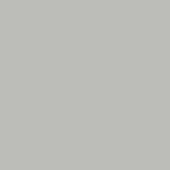 Image showing Solid Grey PSOLGRYM24.jpg