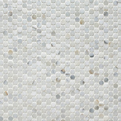 Image showing Studs SCIRCGMP.jpg