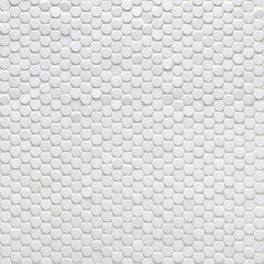 Image showing Studs SCIRTHMP.jpg