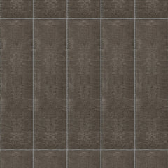 Image showing plp Teju Terra CPRTEJTER416 rev.jpg